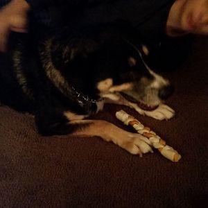 Meet your Posher, Aidan